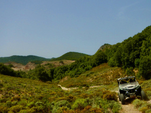 B13AAB1D-9E2E-4796-A05E-B4811CC27A26_1_105_c.jpeg
