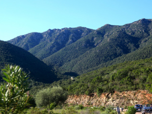 IMG_8629.JPG