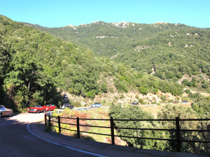 IMG_8654.JPG