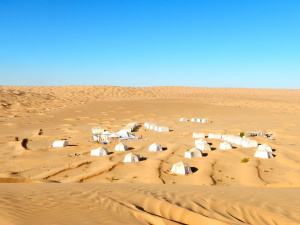 DSCN0539.JPG