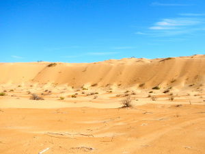DSCN0647.JPG