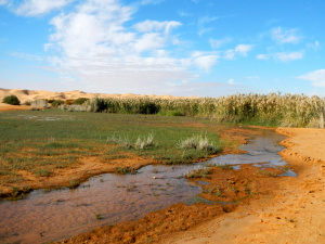 DSCN0749.JPG