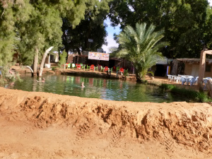 P1020380.JPG