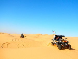DSCN2972.JPG