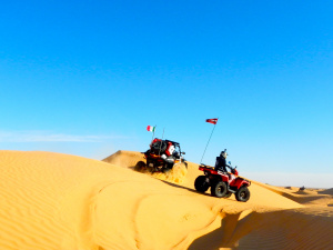 DSCN2968.JPG