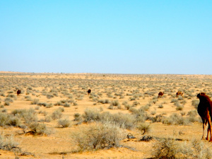 DSCN1936.JPG