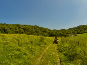 8D878384-5CD7-4664-AE32-661E00FEBA8A_1_201_a.jpeg